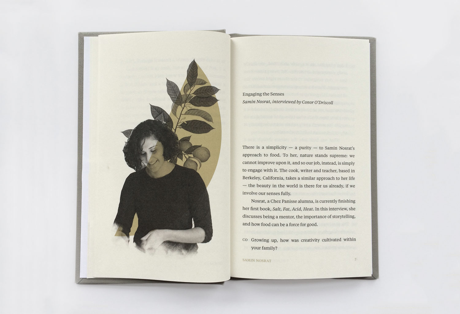 A spread of the book